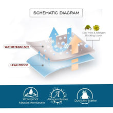 Cargar imagen en el visor de la galería, Funda de sofá impermeable y antimanchas