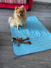 Cargar imagen en el visor de la galería, Esterilla refrescante para perros AirCool